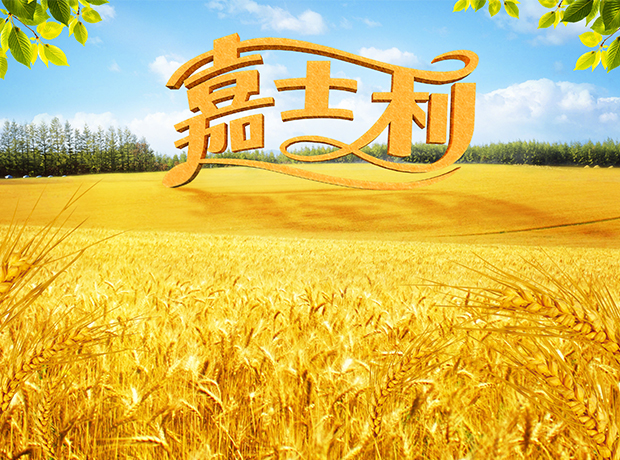 嘉士利 品牌包裝設計